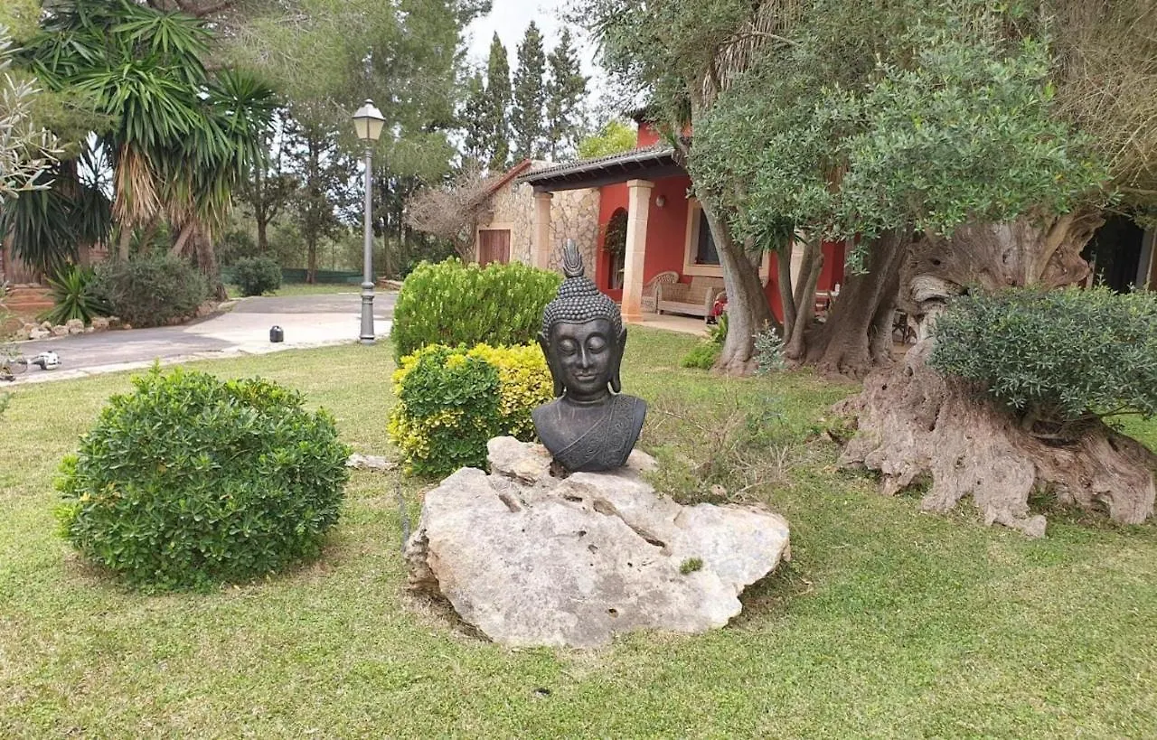 Thai Garden Villa Palma de Mallorca Spain